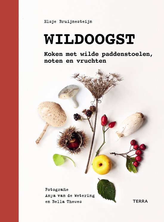 Boek-Wildoogst-tweedehands