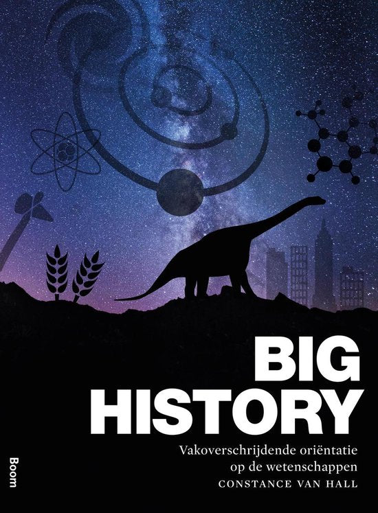 Boek-Big history-tweedehands