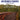 Boek-Research Methods For Business Students-tweedehands