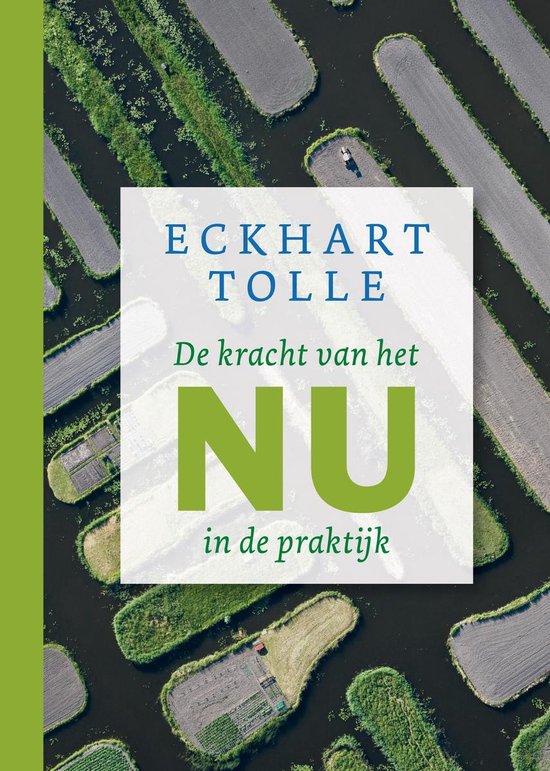 Boek-De kracht van het nu in de praktijk-tweedehands