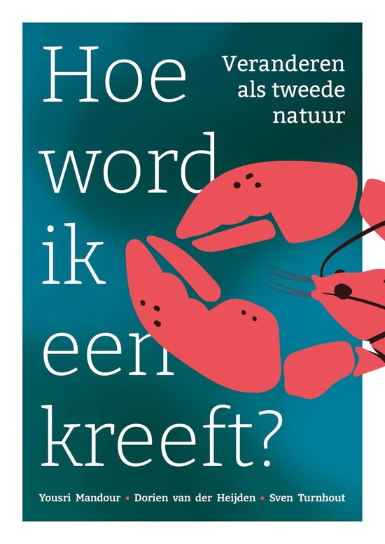 Hoe word ik een kreeft?, Yousri Mandour, boekomslag voorkant, tweedehands