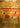 Boek-The Etruscan World-tweedehands