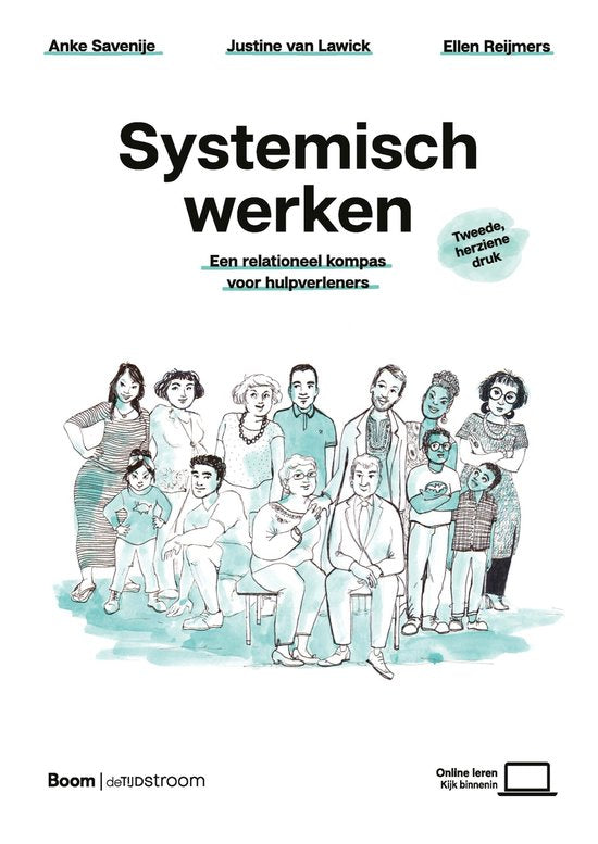 Boek-Systemisch werken-tweedehands