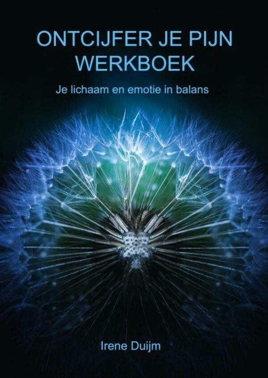Boek-Ontcijfer je Pijn Werkboek-tweedehands