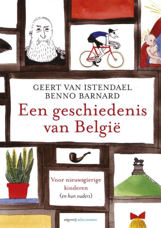Boek-Een geschiedenis van Belgie-tweedehands