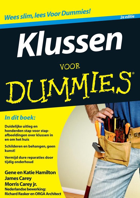 Boek-Voor Dummies - Klussen-tweedehands
