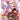 Boek-No Game, No Life 1-tweedehands