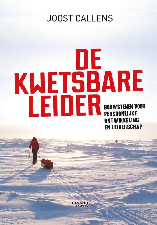 Boek-De kwetsbare leider-tweedehands