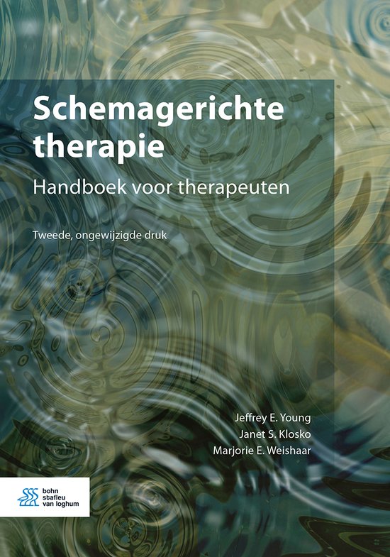 Boek-Schemagerichte therapie-tweedehands