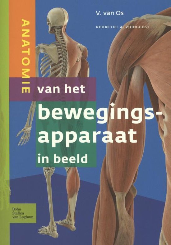 Boek-Anatomie van het bewegingsapparaat in beeld-tweedehands