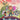 Game Helden 1 - Game Helden tegen De Monsters