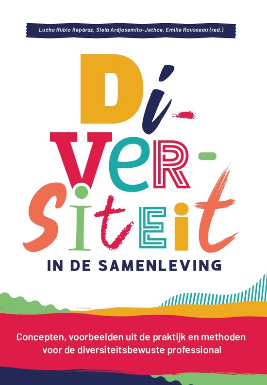 Boek-Diversiteit in de samenleving-tweedehands