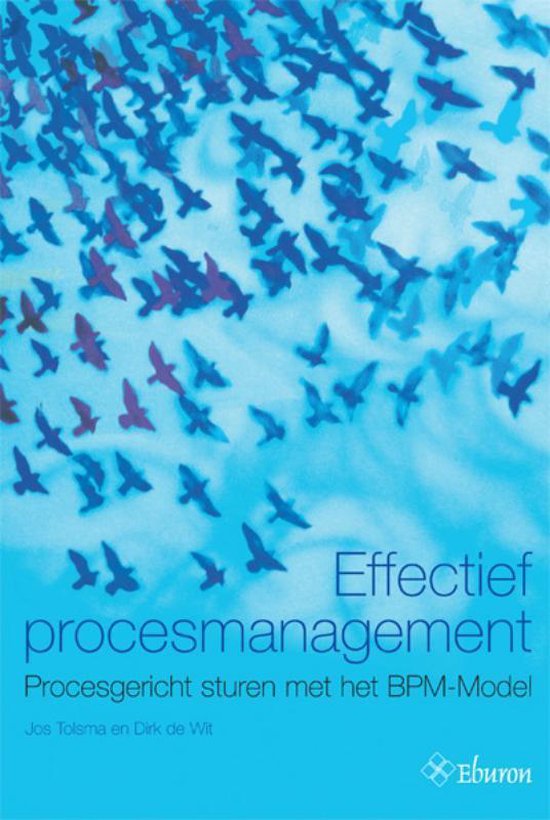 Effectief procesmanagement, sturen met het BPM-model, Jos Tolsma en Dirk de Wit, blauwe omslag met vogels, tweedehands
