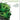 Hydrogen Economy