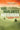 Boek-Matterhorn-tweedehands