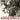 Boek-Ardennes 1944-tweedehands
