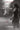 Boek-Hush hush saga 2 - Crescendo-tweedehands