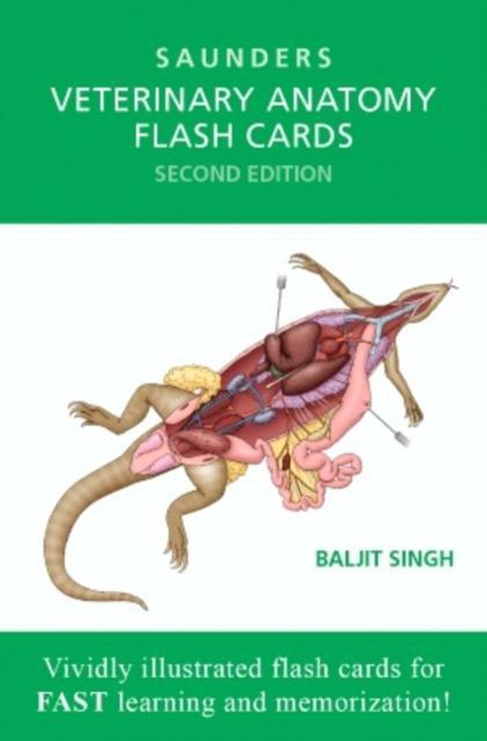 Saunders Veterinary Anatomy Flash Cards, Second Edition, Baljit Singh, groen-witte omslag met een ontleed dier, tweedehands
