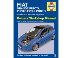 Fiat Grande Punto Punto Evo & Punto (06-