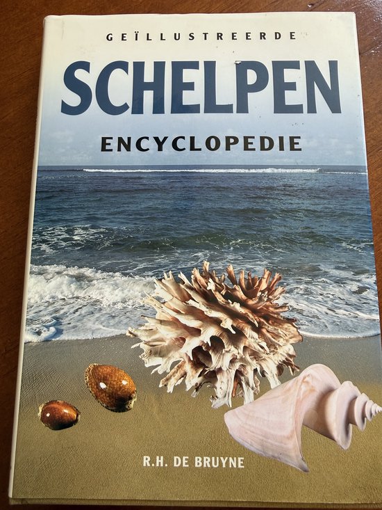 Schelpen encyclopedie