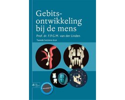 Gebitsontwikkeling bij de mens