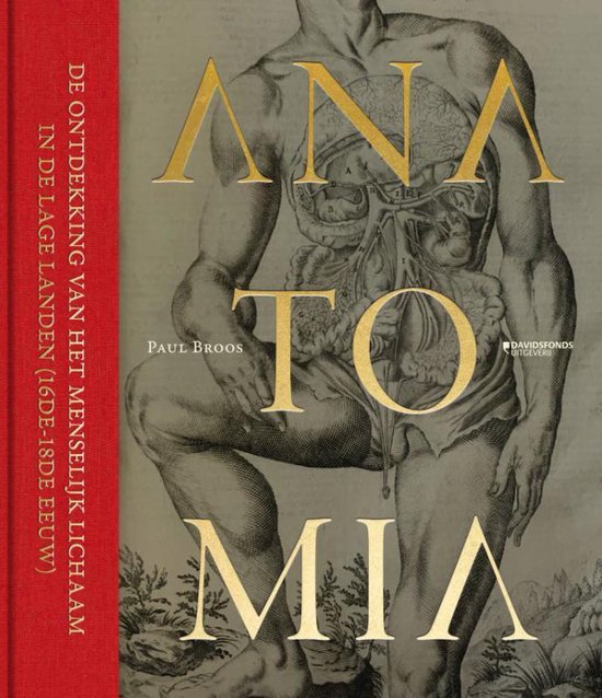 Anatomia