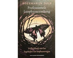 Professionele loopbaancoaching, Rozemarijn Dols, donkere omslag met een vlinder in een krans van takken, tweedehands