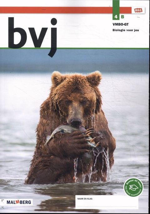 bvj 4B vmbo-gt