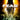 PC-F.E.A.R.: First Encounter Assault Recon Tweedehands
