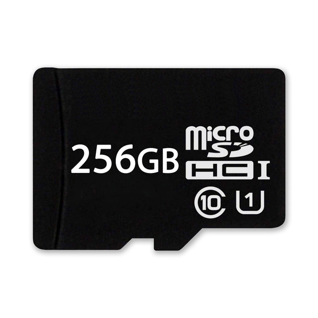 Micro SD kaart 256 GB voor Nintendo Switch, zwart, voorkant met opdruk 256GB en klasse 10, tweedehands