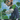 Amiibo-Luigi - Mario Sports Superstars Tweedehands