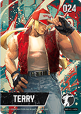 Amiibo-Terry #24-tweedehands