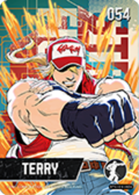 Amiibo-Terry (Alt) #54-tweedehands