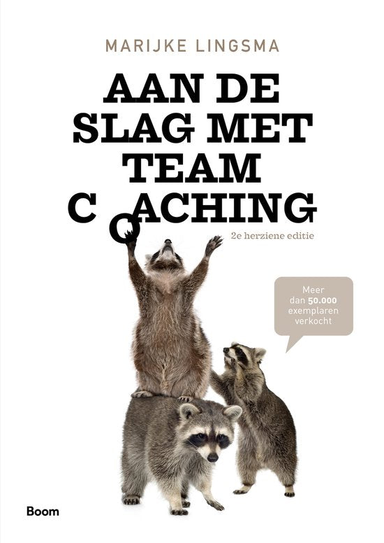 Boek-Aan de slag met teamcoaching-tweedehands