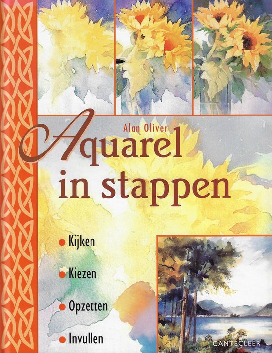 Boek-Aquarel in stappen-tweedehands