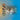Boek-Bos medewerker SB 4-tweedehands
