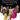 Boek-Collectable Names And Designs In Womens Fashion-tweedehands
