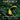 Boek-Costa Rica reisgids magazine - luxe uitgave - Costa Rica reisgids vol bezienswaardigheden, foto's, reisverhalen en actuele tips + Incl. gratis app-tweedehands
