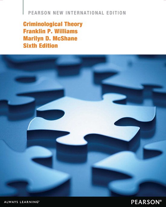 Boek-Criminological Theory-tweedehands
