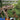 Boek-Dinosaurusencyclopedie-tweedehands