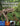 Boek-Dinosaurusencyclopedie-tweedehands