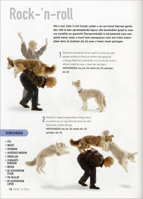 Boek-Doggydancing-tweedehands