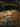 Boek-Doornroosje-tweedehands