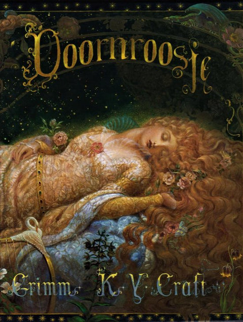 Boek-Doornroosje-tweedehands