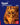 Boek-Egypt, Nile Valley & Red Sea Footprint Full-colour Guide-tweedehands