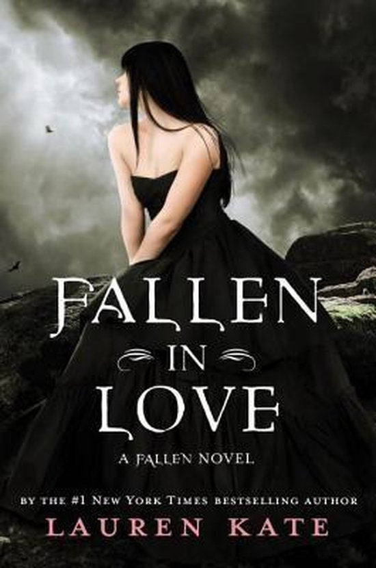 Boek-Fallen in Love-tweedehands