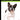 Boek-Franse bulldog-tweedehands