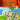 Boek-Geronimo Stilton 18 - De voetbalkampioen-tweedehands