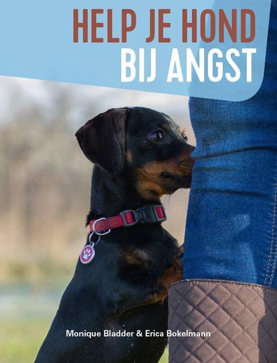 Boek-Help je hond bij angst-tweedehands