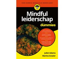 Boek-Mindful leiderschap voor Dummies-tweedehands